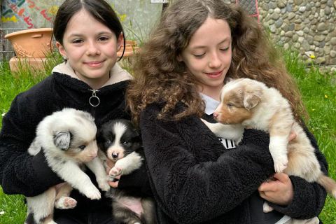 3 Hundebabys mit 2 Kindern 3 Hundebabys kuscheln im Arm von 2 Kindern