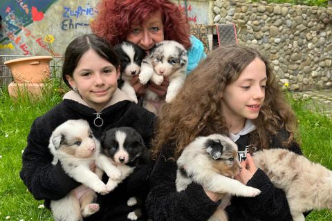 Hundebabys Kuschelzeit Birgit Hoch und zwei Kinder haben viele der Hundebabys im Arm
