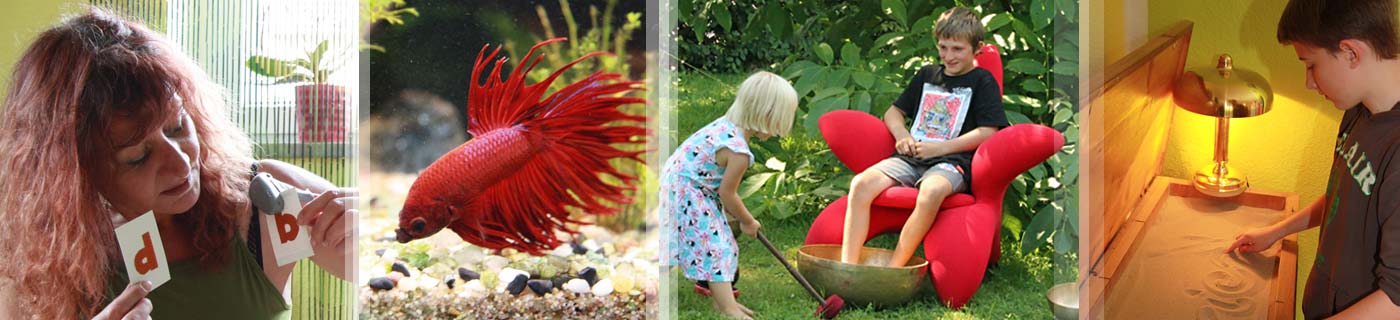Bannerbild Eindrücke Praxisarbeit Bilderreihe (v.l.n.r.): Birgit Hoch zeigt 2 Buchstabenkarten, roter Fisch im Aquarium, mädchen und Junge mit Klangschale, Junge schreibt im mit Sand gefüllten Kasten