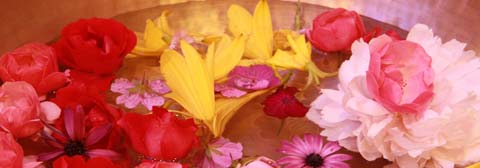 Teaser Entspannung Klangschale mit Blumenblüten